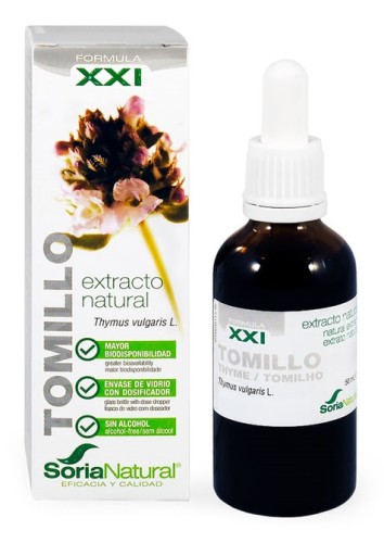 Timjamiuute XXI Timjamiuute XXI