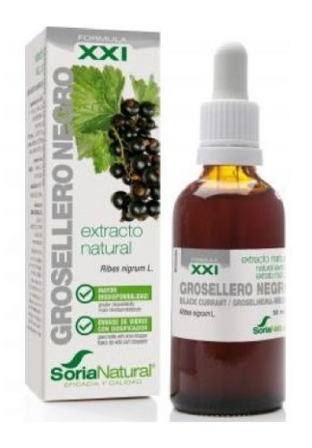 Mustaherukanlehtiuute XXI Mustaherukanlehtiuute XXI