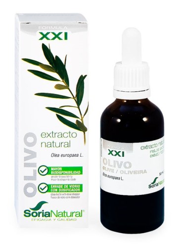 Oliivinlehtiuute XXI Oliivinlehtiuute XXI